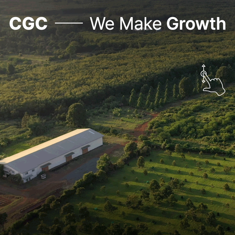 CGC 씨지씨 포트폴리오